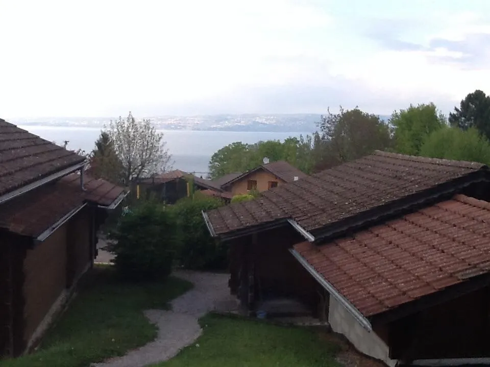 Holiday home Le Bois Rame Villa Neuvecelle